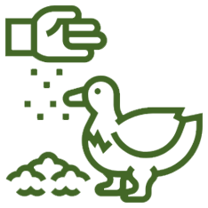 Alimentação de animais